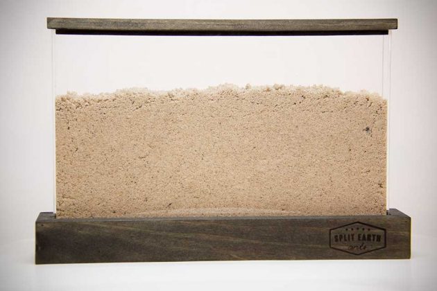 Split Earth Ants Ant Farm by Blake & Grant