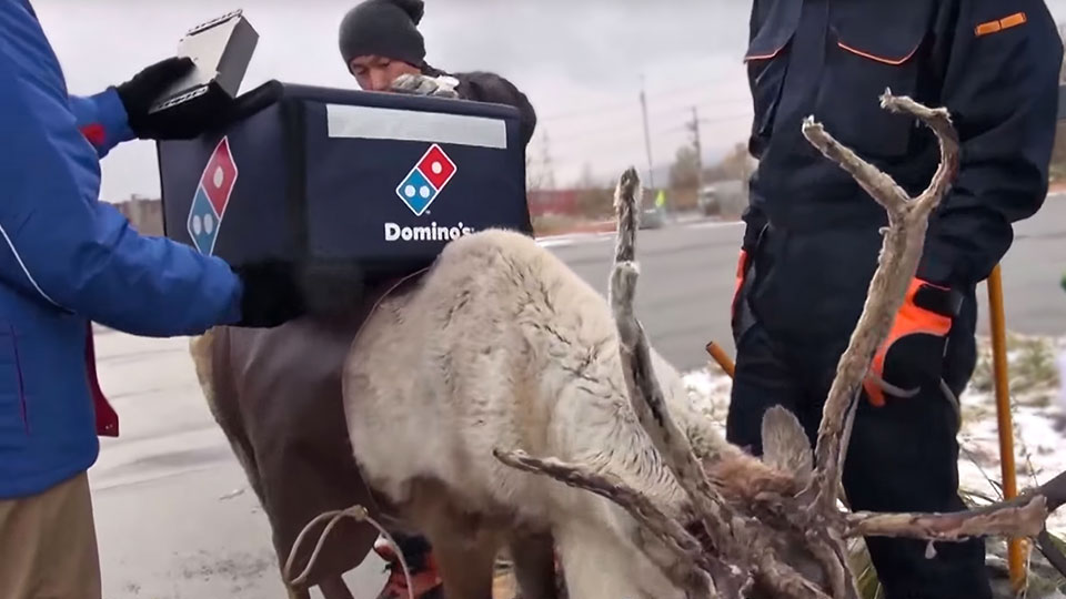 Domino’s Japan Use Reindeer For Delivery To Beat The Extreme Snow SHOUTS