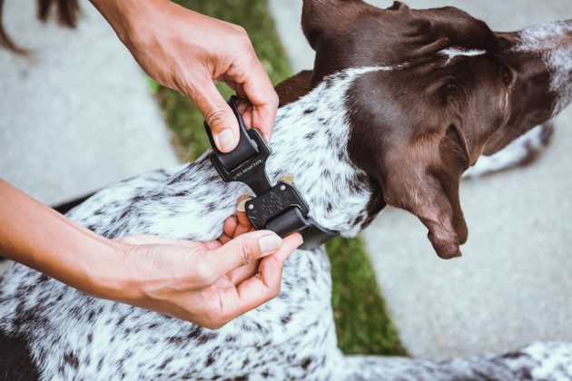 KILLSPENCER Handcrafted Leather Accessories For Dogs