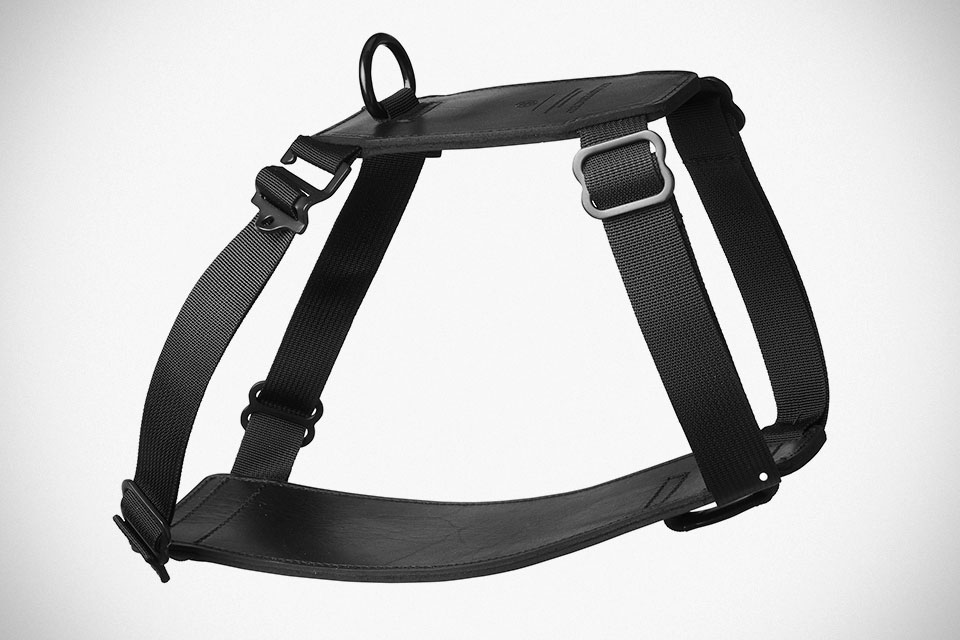 KILLSPENCER Introduces Handcrafted Leather Accessories For Dogs SHOUTS