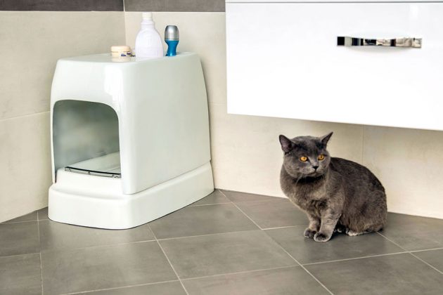 Catolet Automatic Litter Box for Cats and Small Dogs