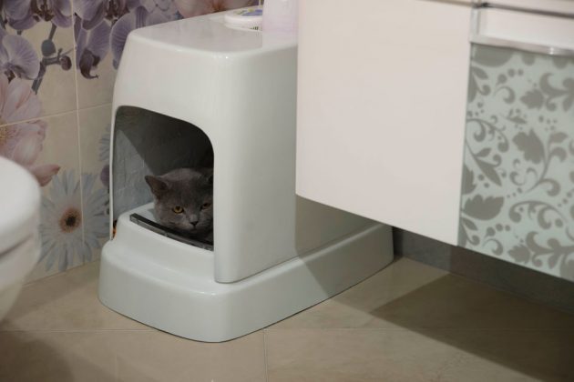 Catolet Automatic Litter Box for Cats and Small Dogs