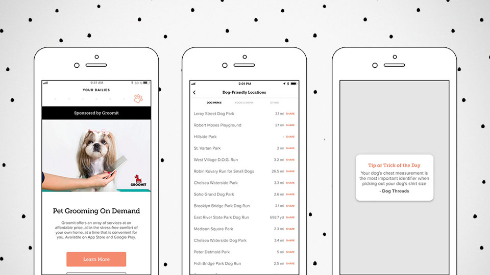 Meet Dig, The First Dating App Crafted For Dog Person (Finally!)