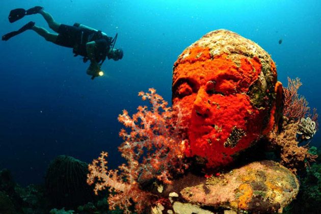 Snorkel Through an Underwater Temple Garden