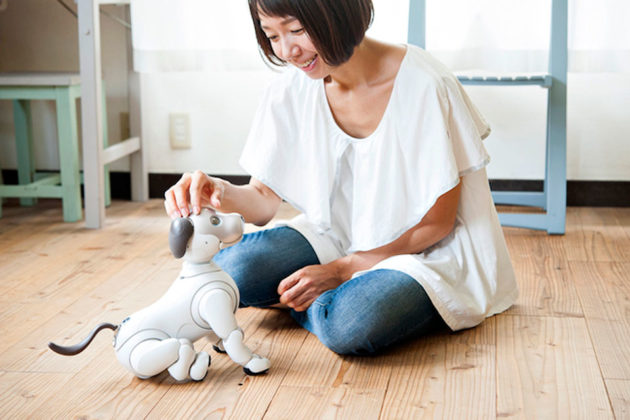 Sony aibo Companion Robot