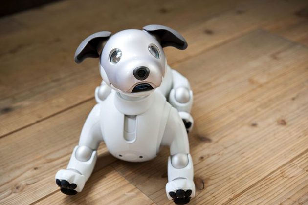 Sony aibo Companion Robot