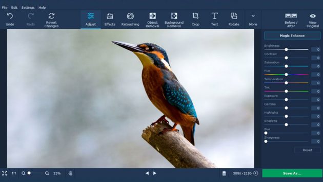 Using Movavi Photo Editor: What You Need To Know