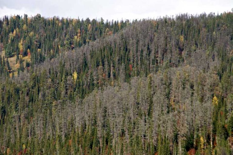 Apparently, We Have Been Standing On A Giant Mushroom The Whole Time