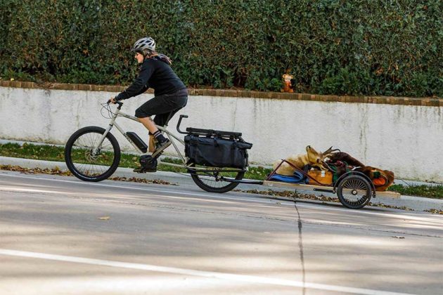 Surly Big Easy Electric Cargo Bike