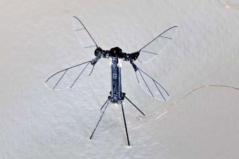 Large Insect Robot Scientists Developed Insect-sized Robot Powered By Solar