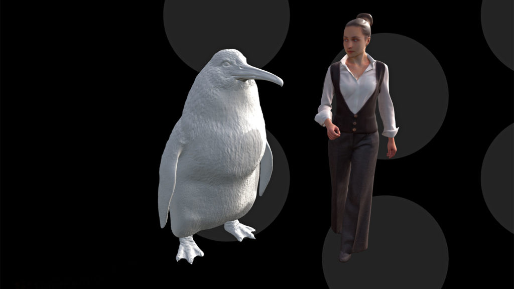 Human-sized Penguin In New Zealand