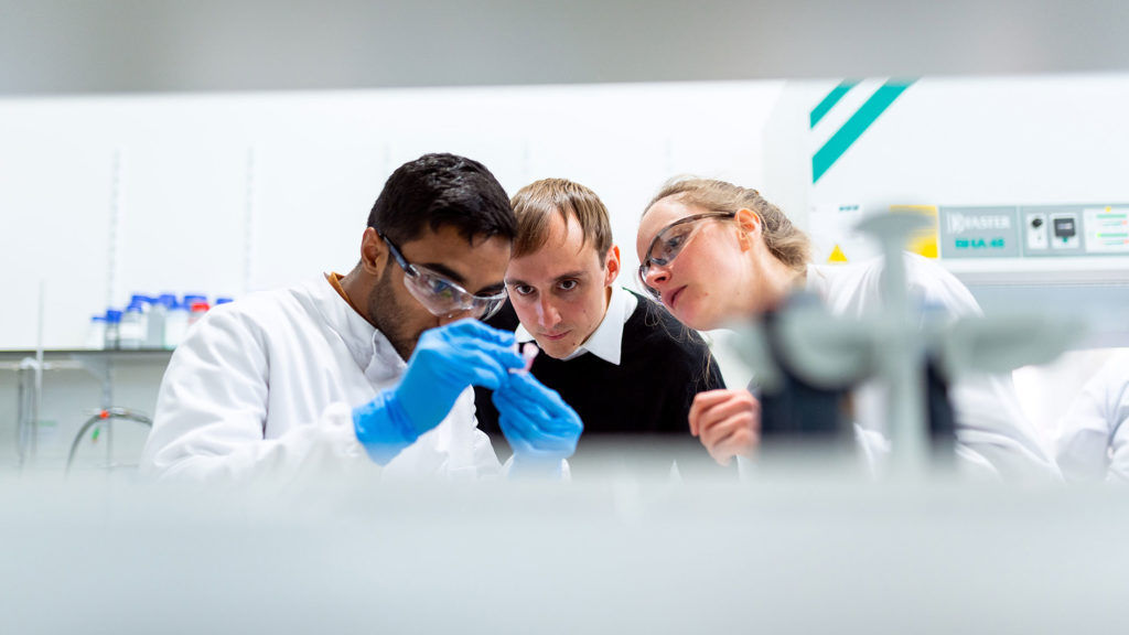 Getting Started in a Career in Bioengineering