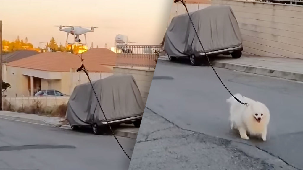 Walking Dog with an Unmanned Drone in Cyprus