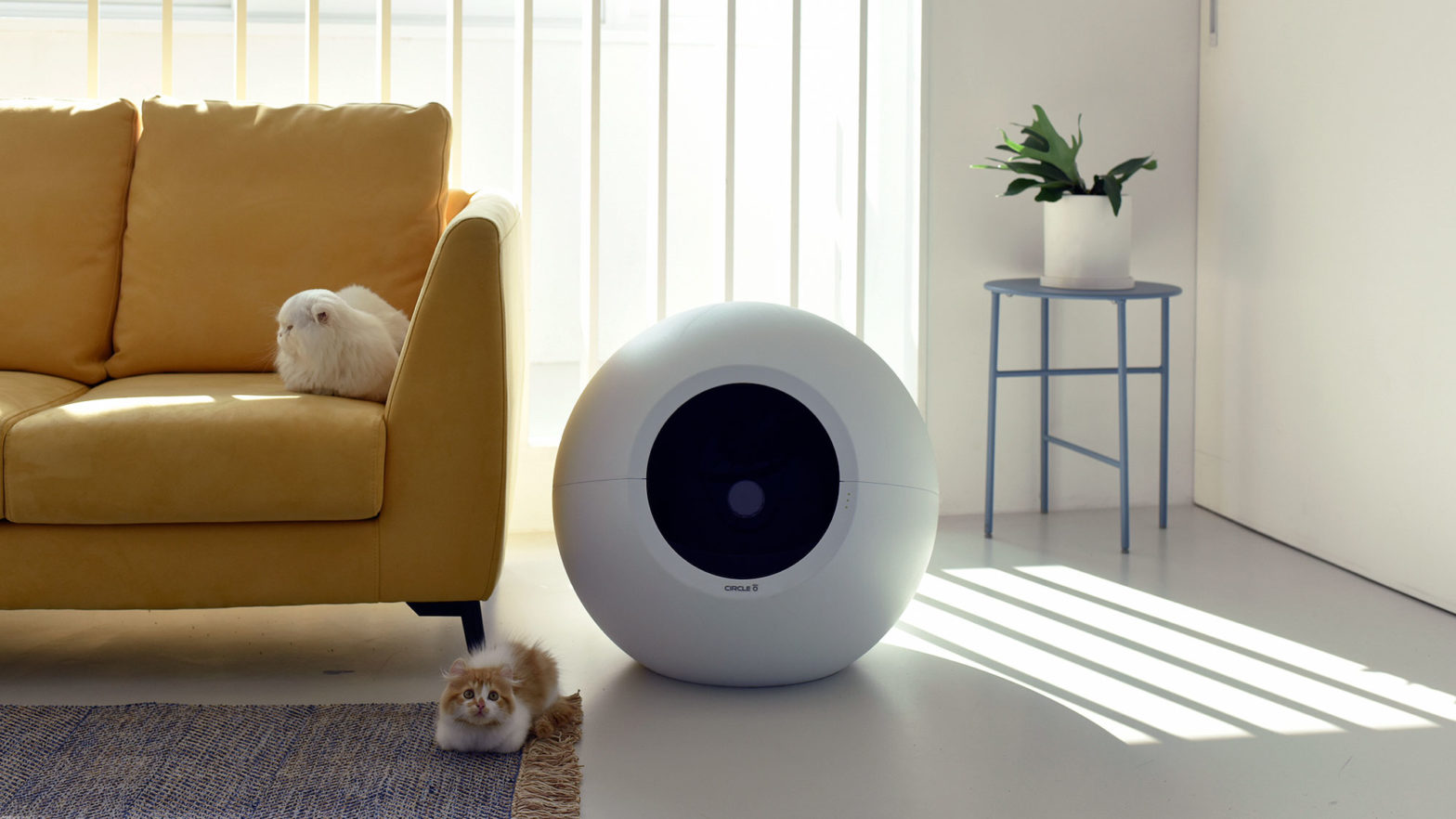 Pluto Circle Zero Is SelfCleaning Cat Litter Box With The Jetsons