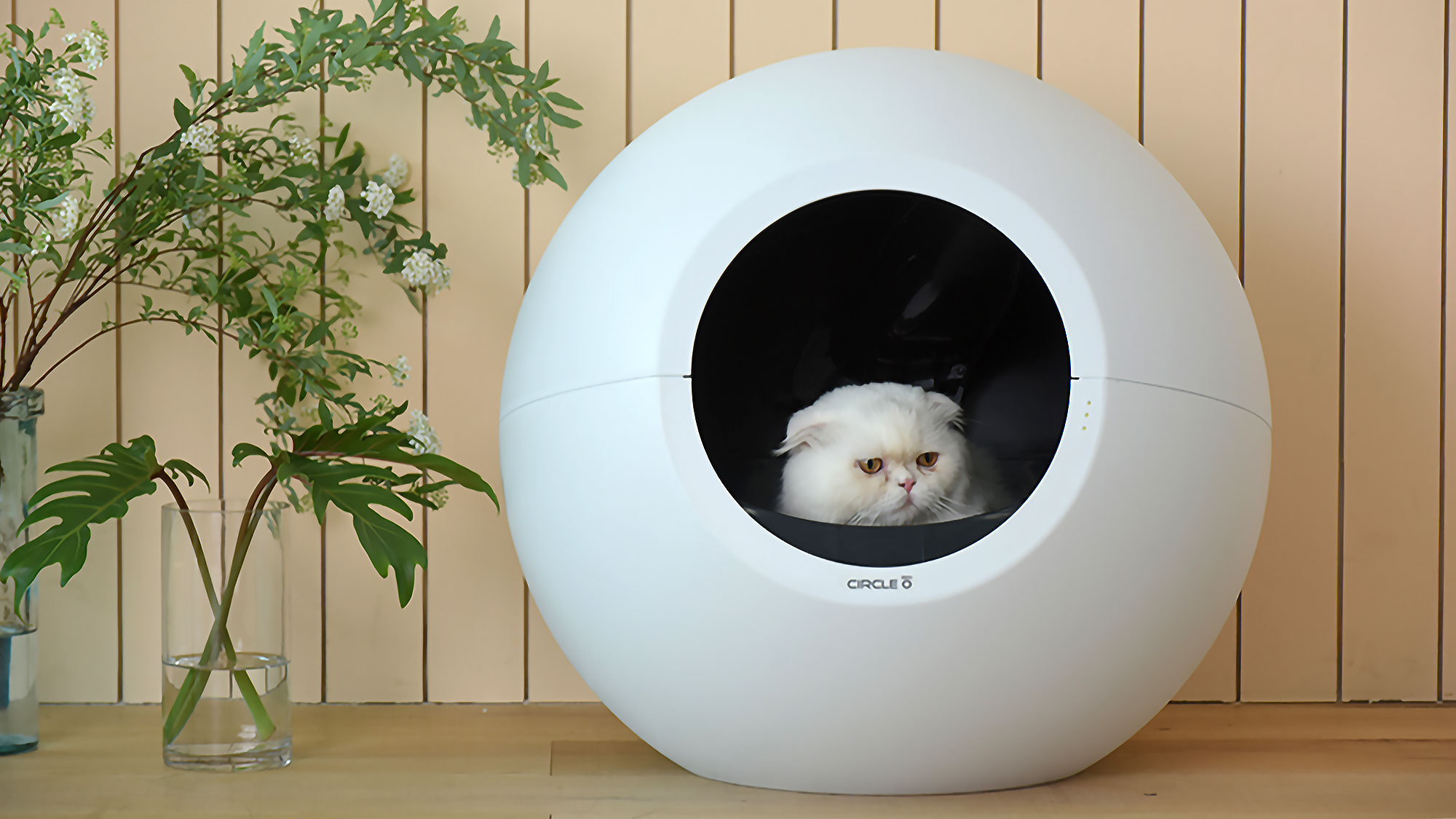 Pluto Circle Zero Is SelfCleaning Cat Litter Box With The Jetsons’ Kind Of Futuristic Vibe