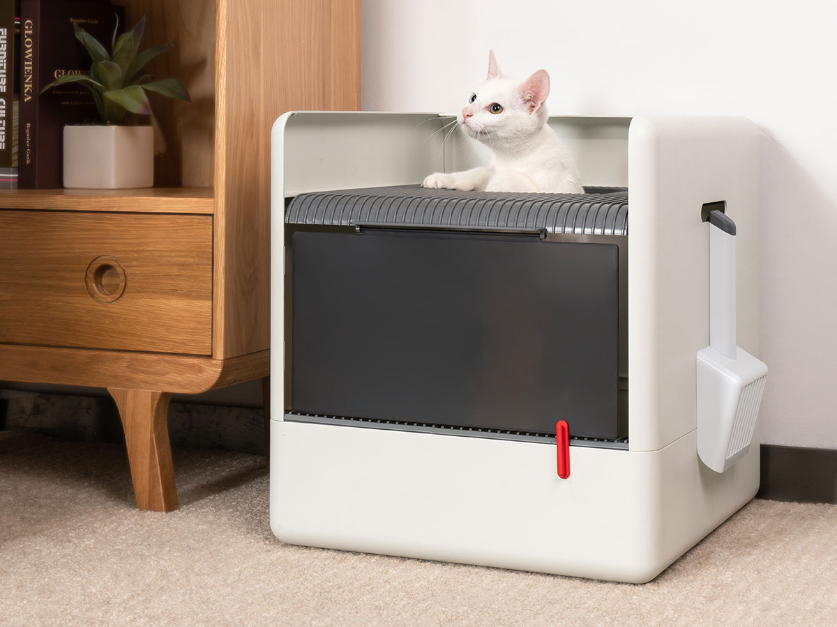 Poop Cube Cat Litter Box Because, Cat Litter Should Keep Odor In And