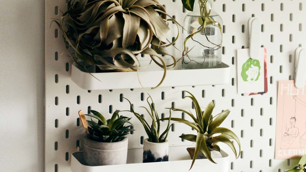 Some Awesome Technology for House Plants