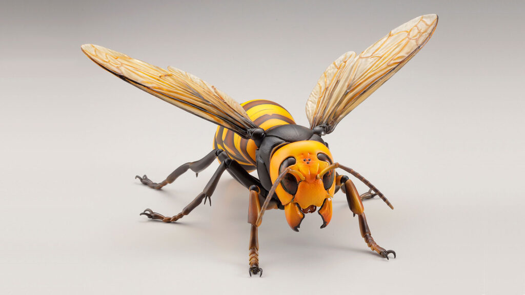 Revoltech RevoGeo Asian Giant Hornet Figure