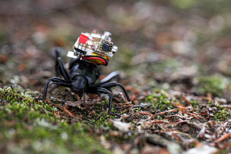 Microbot Pull Camera Researchers At University Of Washington Developed An “Action Cam” For ...