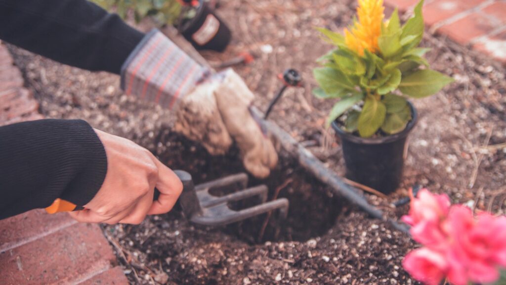 How To Easily Find Everything You Need For Your Garden