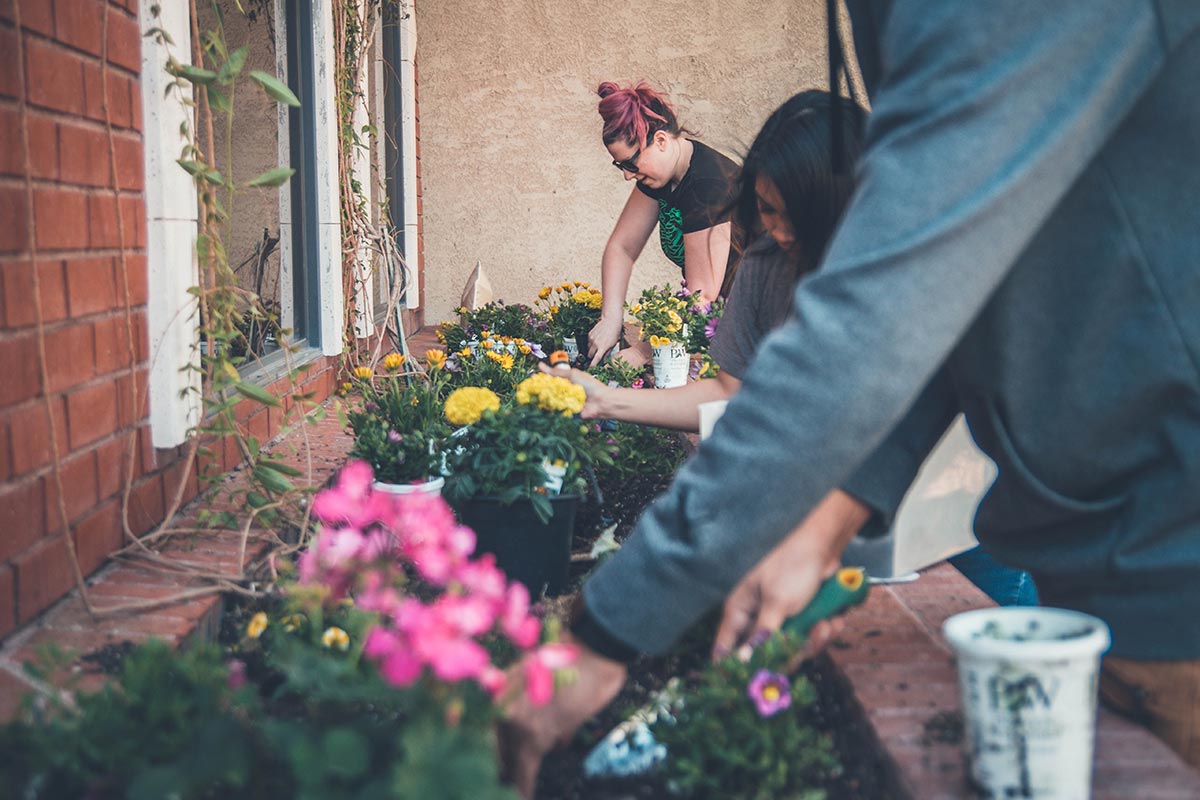 How To Easily Find Everything You Need For Your Garden