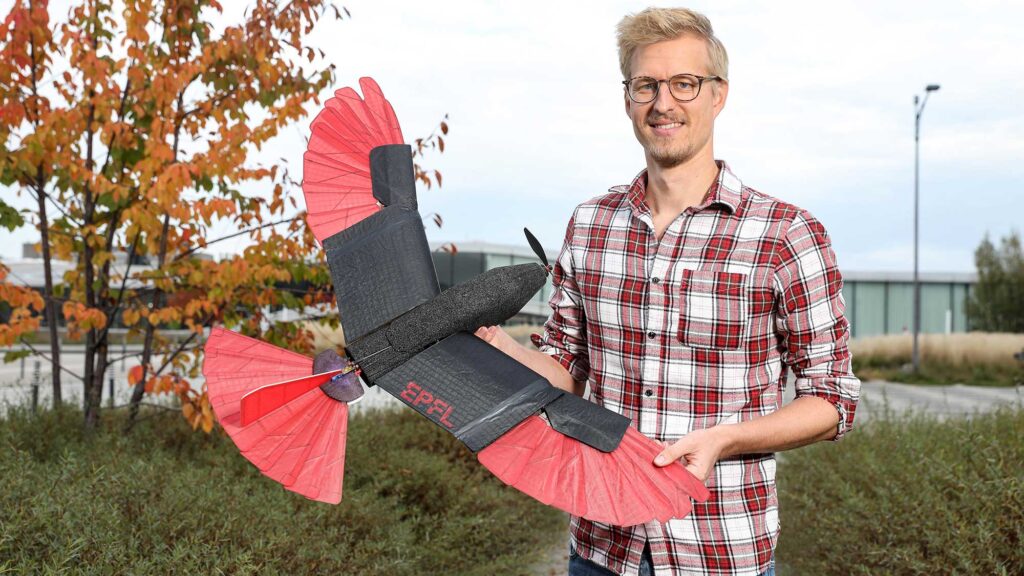 Raptor-inspired Drone with Morphing Wing and Tail