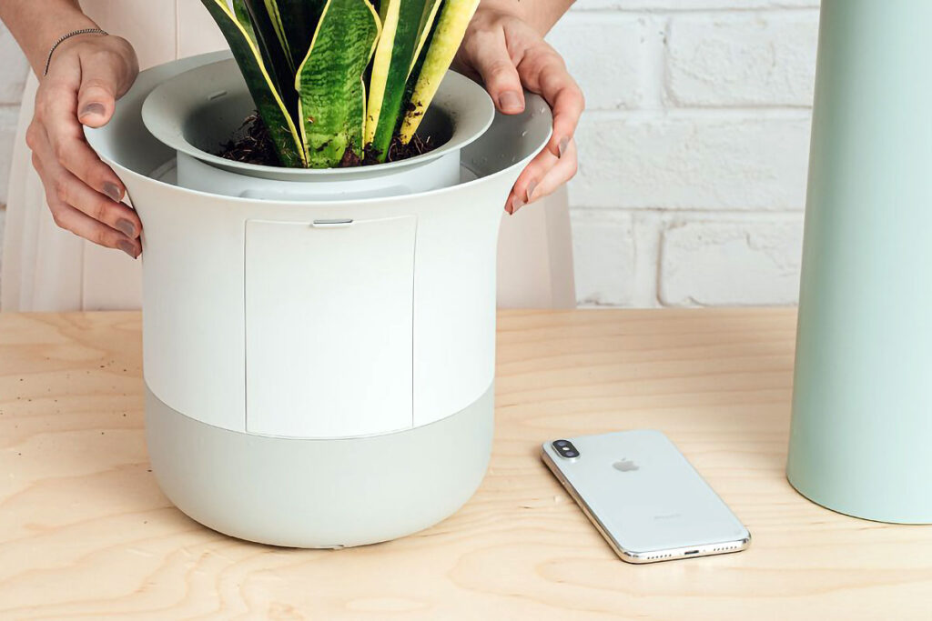 Wázai 2.0 World’s Smartest Bonsai Kickstarter