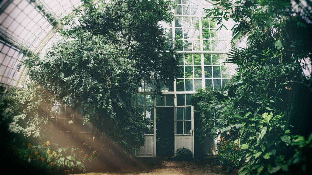 What You Should Know About Greenhouses