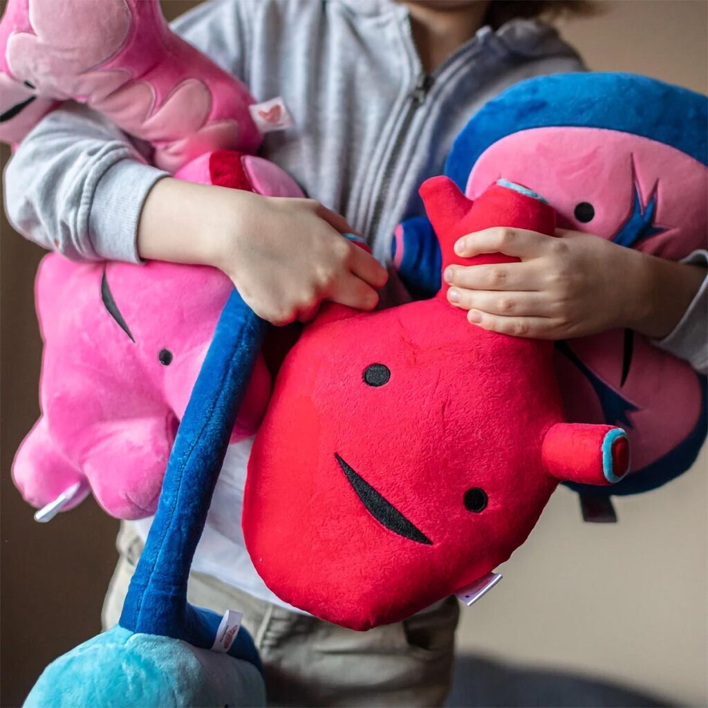 Cute Organ Plush Toys from Firebox