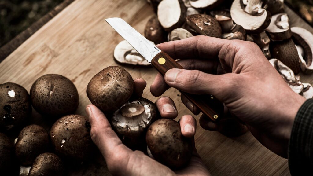 The WESN Samla A Compact, Lightweight Folding Pocket Knife For Food Prep And More