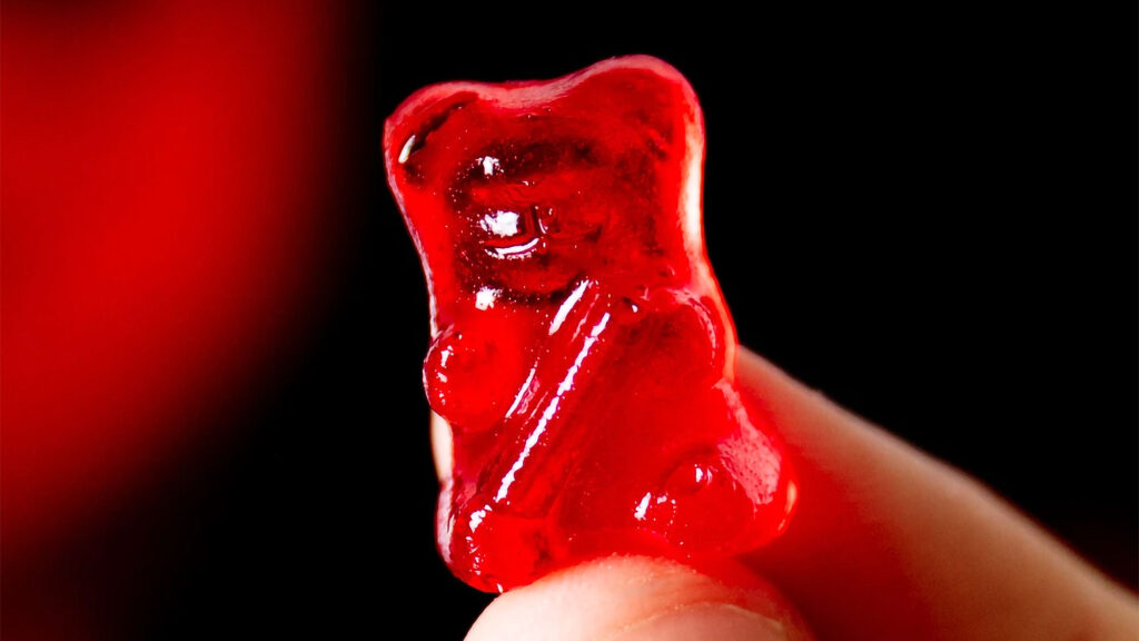 Lil’ Nitro The World’s Hottest Gummy Bear