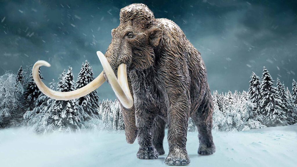 Star Ace x X-Plus Woolly Mammoth Statue