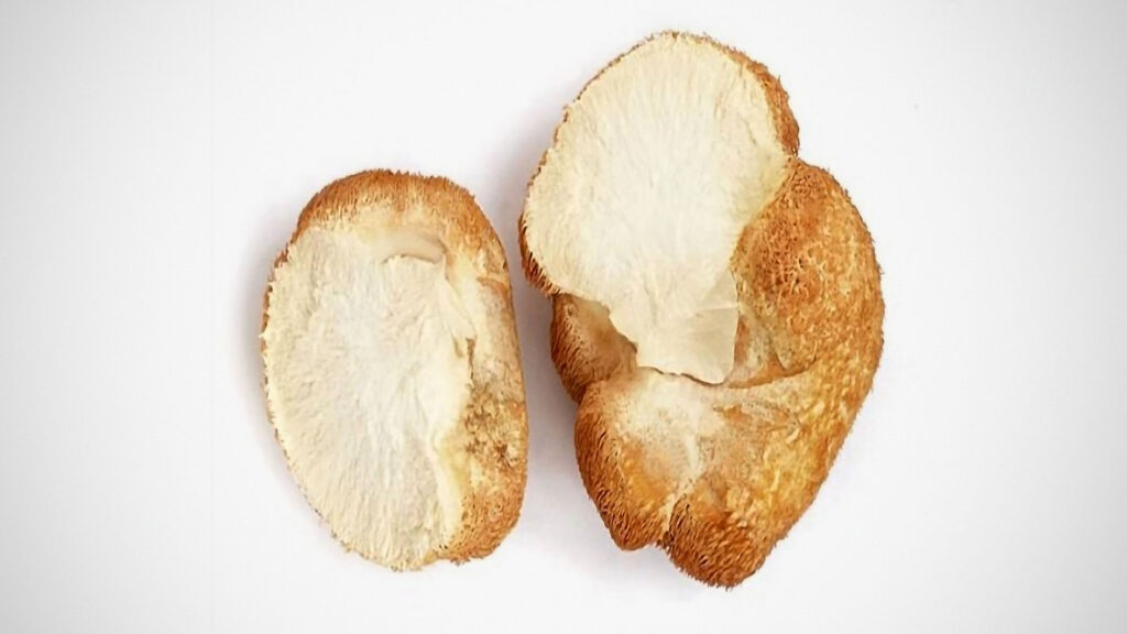 Are Lion’s Mane Mushroom Supplements Worth Giving A Try?