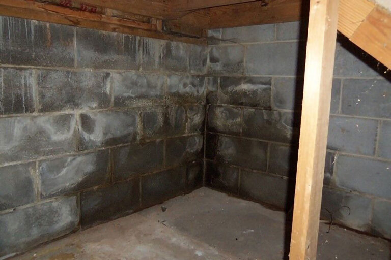 Repairing A Wet Basement - What You Need To Know