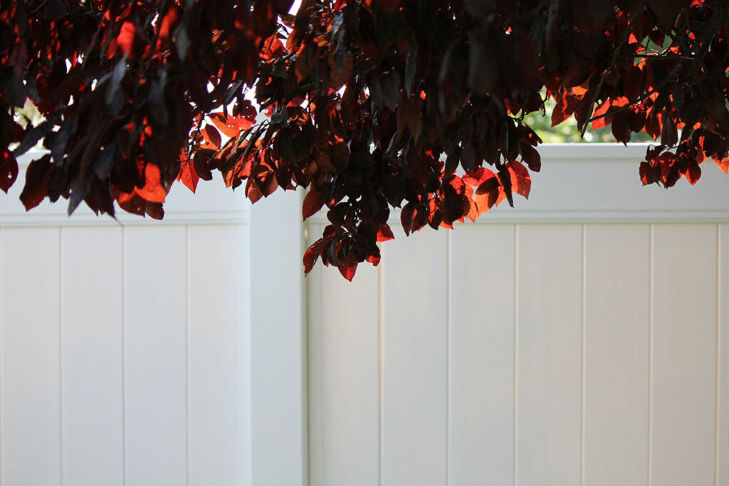 The Ultimate Fence Styles For Security And Privacy