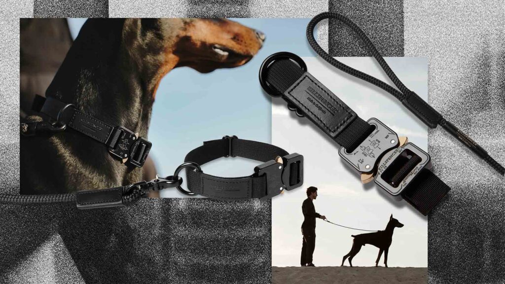 KILLSPENCER Webbing Dog Collar and Dog Leash