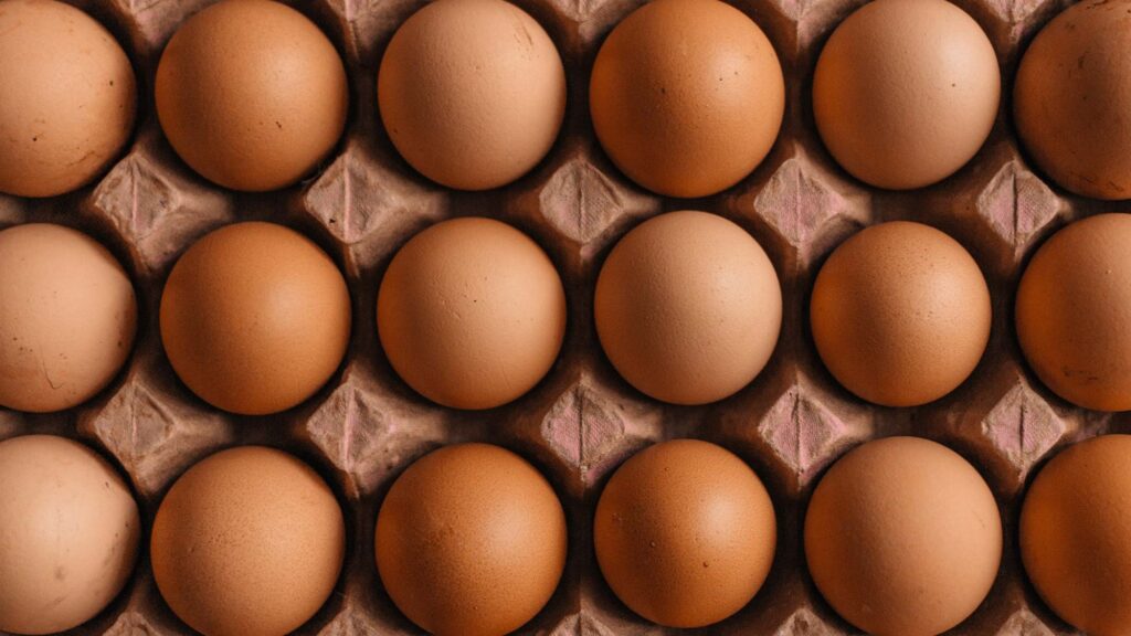 Understanding The Purpose Of Protein Production