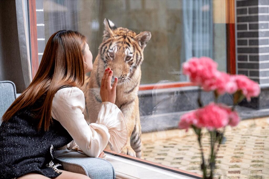 Pingnan Xiongjing Ecological Hotel Tiger View Room