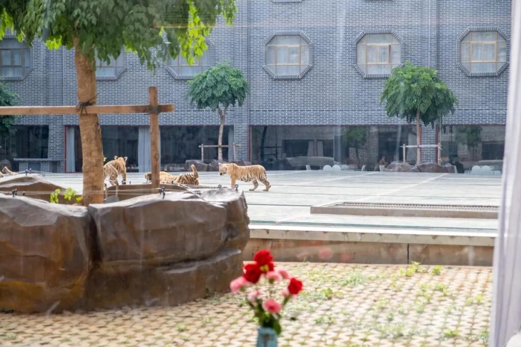 Pingnan Xiongjing Ecological Hotel Tiger View Room