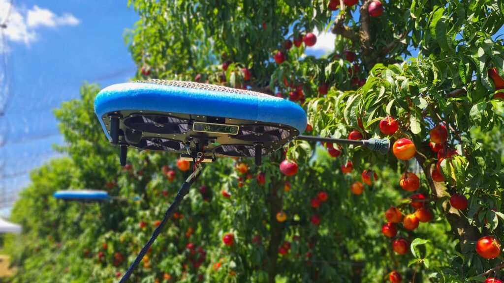 Fruit-picking Flying Autonomous Robots by Tevel Aerobotics