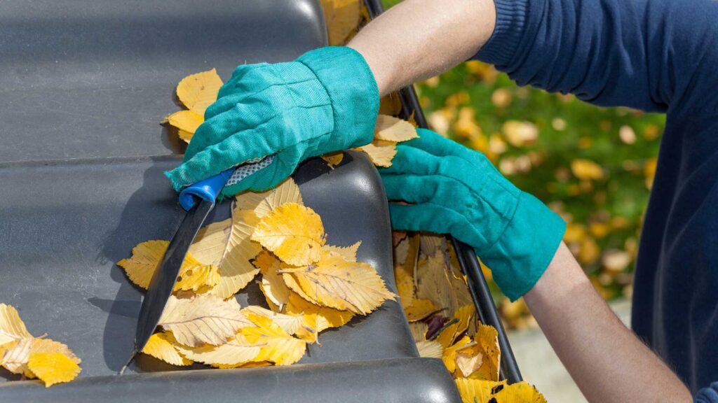 4 Common Roof Issues And How To Fix Them