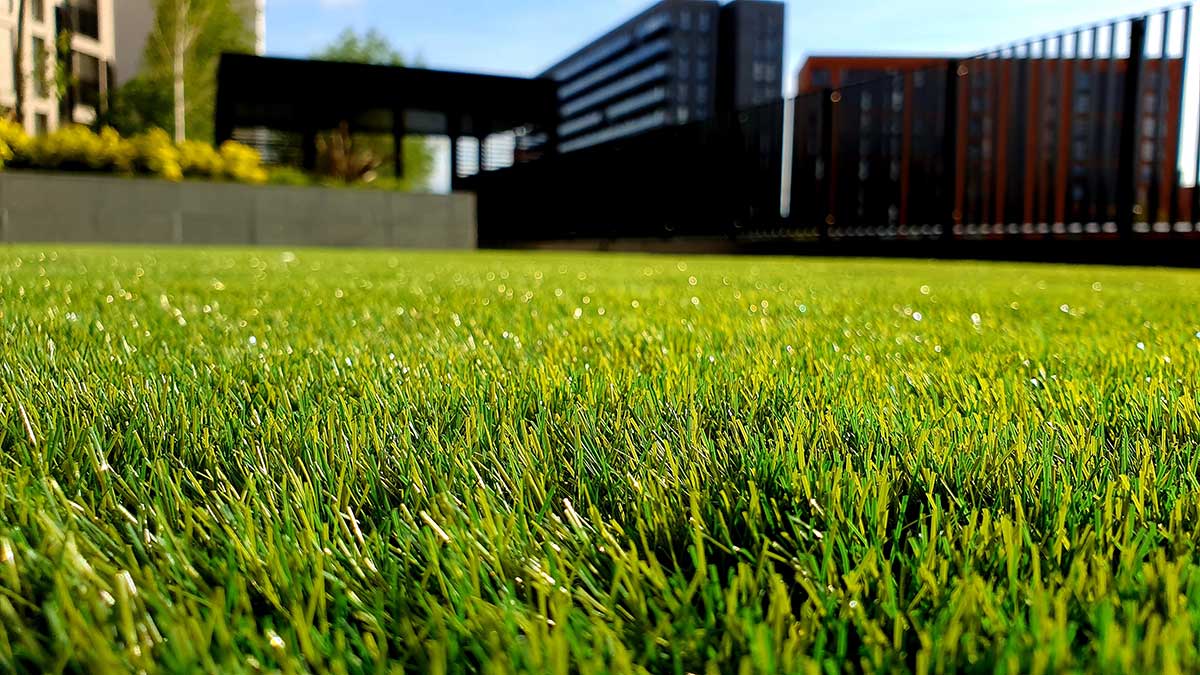 DIY Lawn Care: Simple Steps To A Beautiful Yard