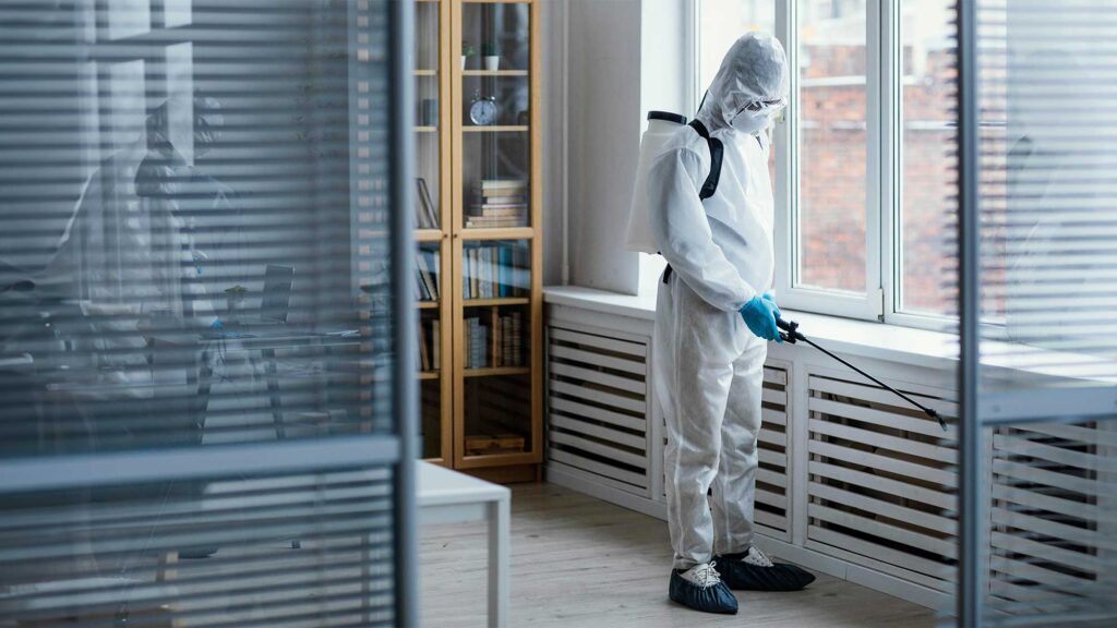 Mold Inspection Orlando: Protect Your Home And Health