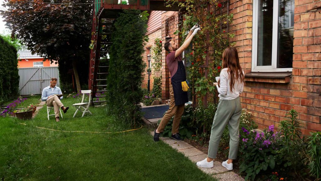 Your Outdoor Haven: A Comprehensive Guide To Garden Transformation