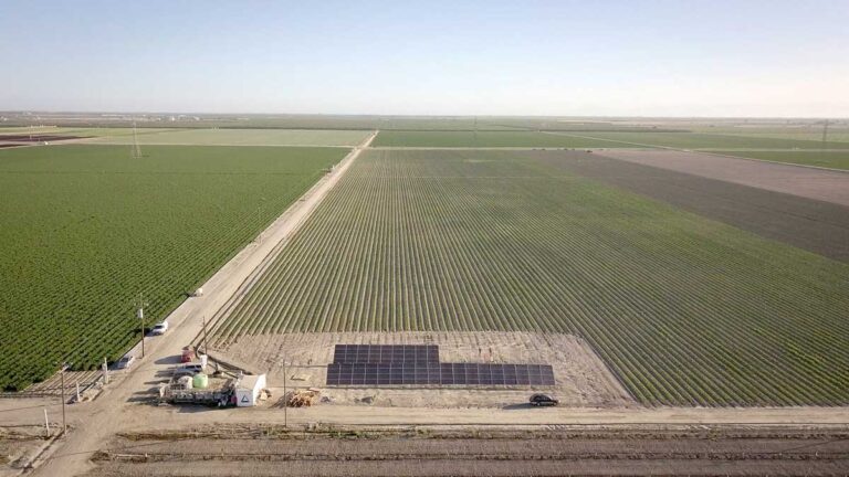 Chipotle Invests In Autonomous Agricultural Robots For Advancements In ...