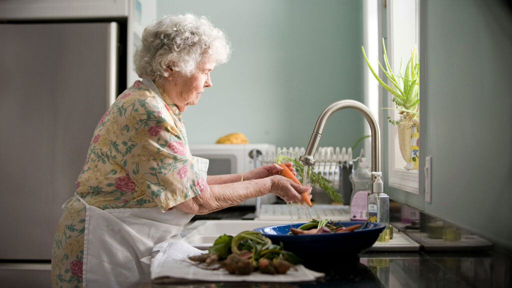 Exploring The Different Types Of Aged Care Services