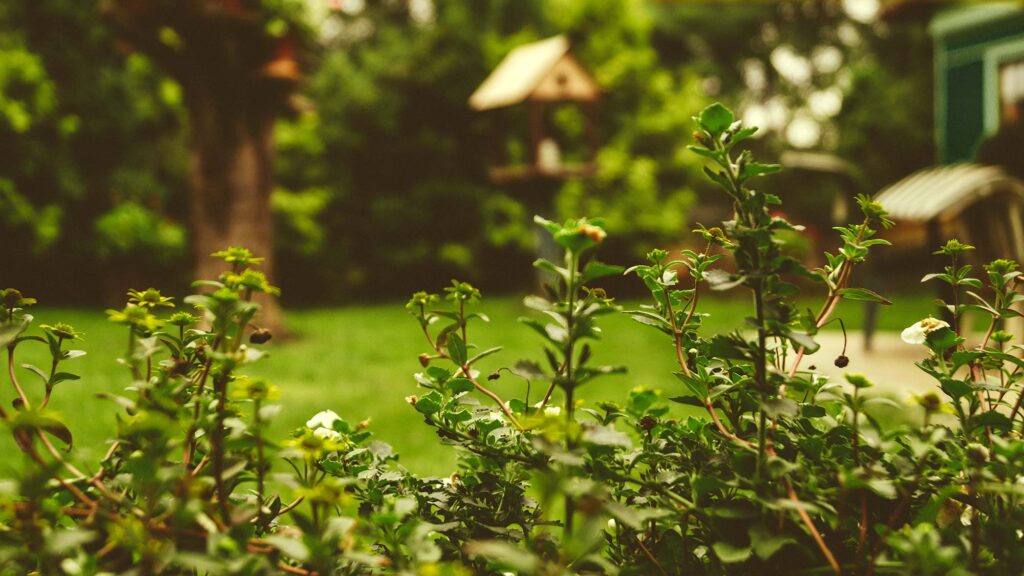 How To Find The Right Devices To Keep Your Home And Garden Clean