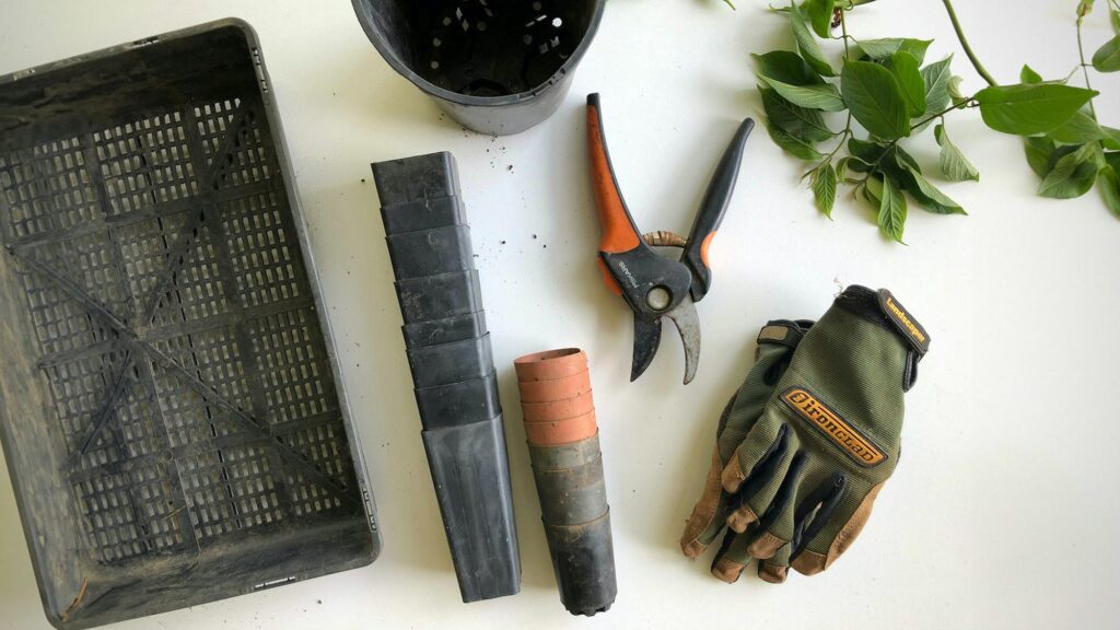 Top 6 Tools And Equipment You Should Have To Maintain Your Outdoor Space
