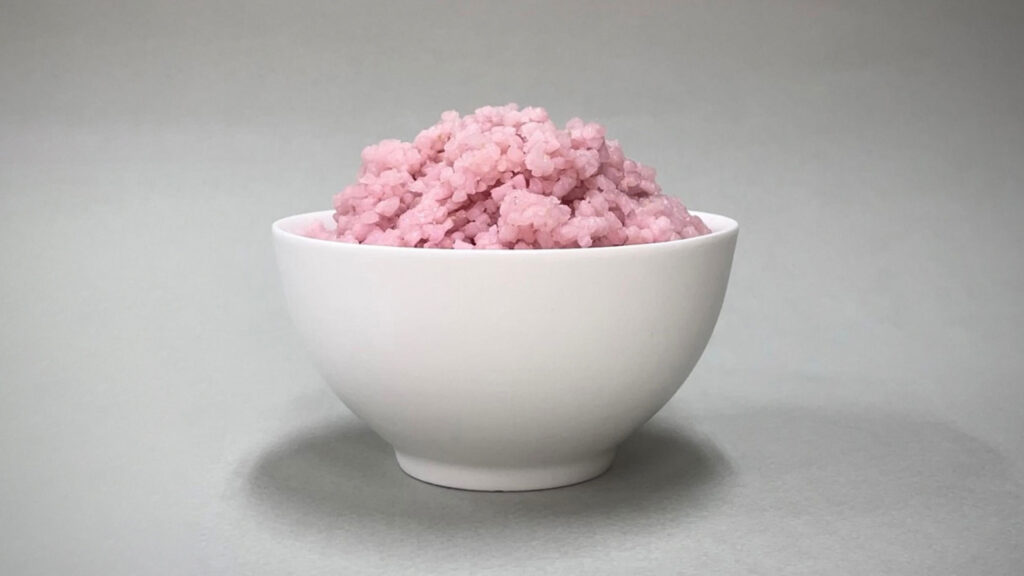 Beef-infused Hybrid Rice Variant by Yonsei University
