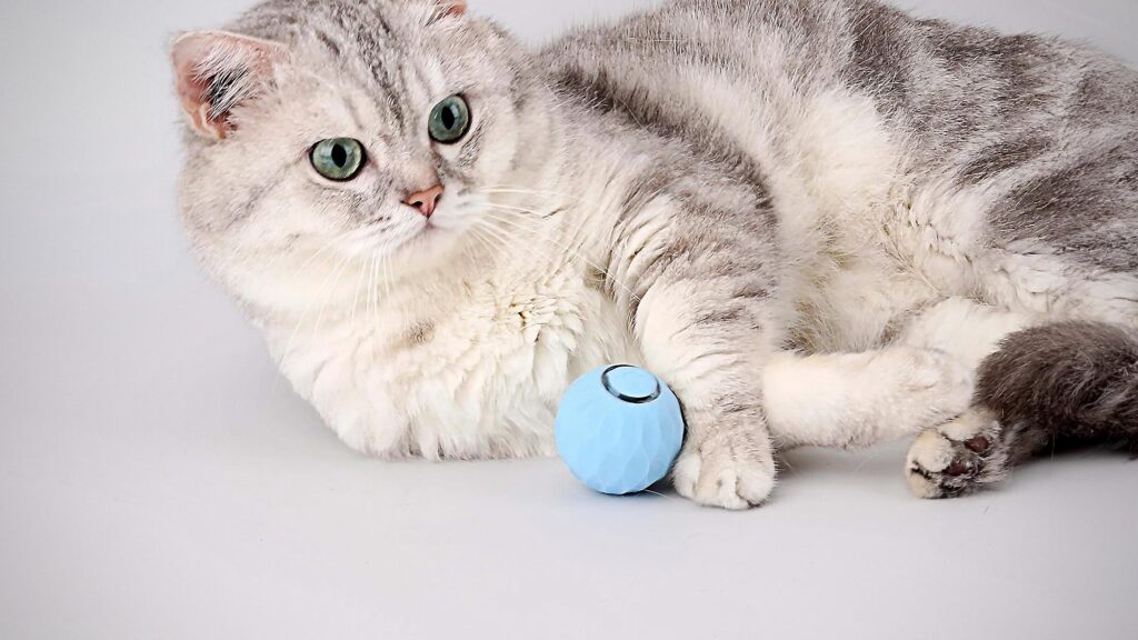 WLOOM Power Ball 2.0 Smart Toy Ball for Cats